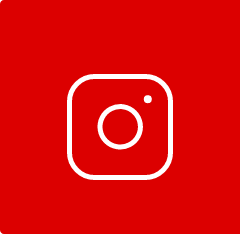 insta feed